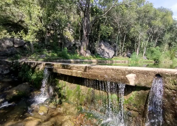 Cabanas De Montana \