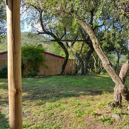 Cabanas De Montana 